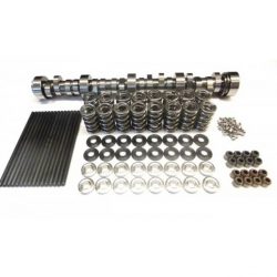 LS Camshafts, Springs, and Pushrods.